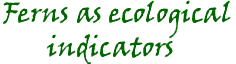 Ferns as Ecological Indicators