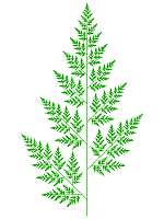 L-System leaf, Order=34